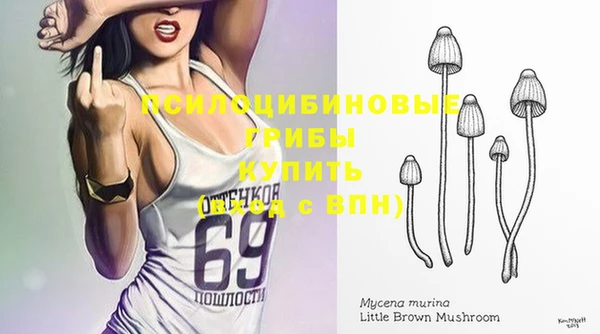 молекула духа Покров