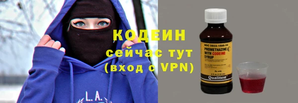 молекула духа Покров