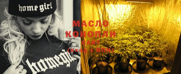 молекула духа Покров