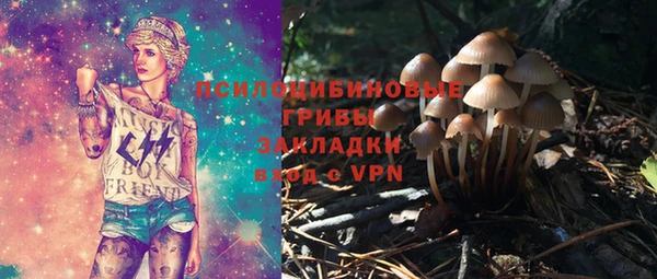 молекула духа Покров