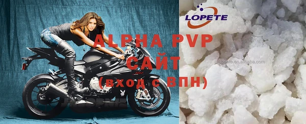 молекула духа Покров