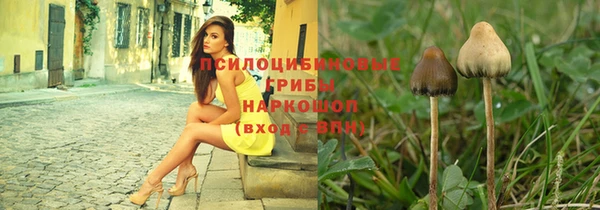 молекула духа Покров