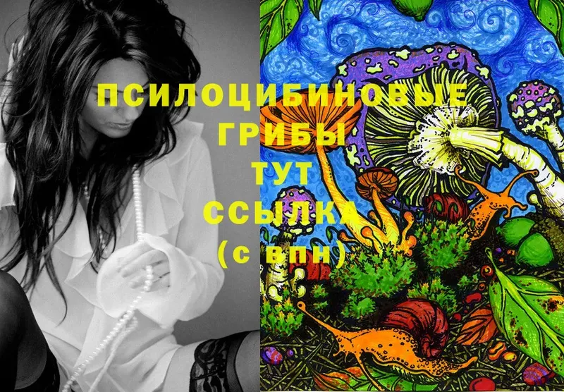 Галлюциногенные грибы Magic Shrooms  это телеграм  Сим  как найти наркотики 